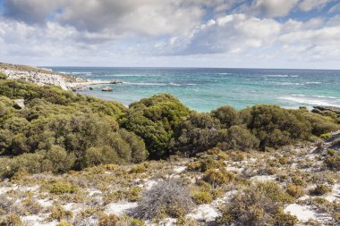 Rottnest Adası, Australi plajlarından biri üzerinde doğal görünümü