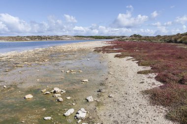 Rottnest Adası, Australi plajlarından biri üzerinde doğal görünümü