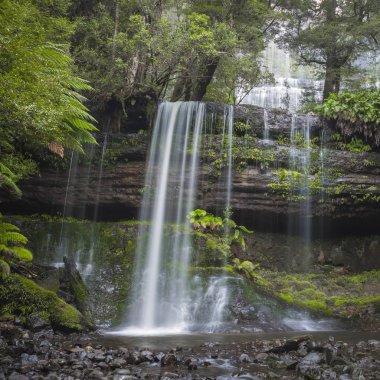 Russell falls, mount alan milli park, Tazmanya, Avustralya