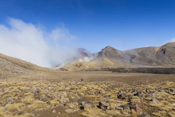 Вулкан Нгаурухо (2291км), национальный парк Тонгариро, Северный Ислан — стоковое фото