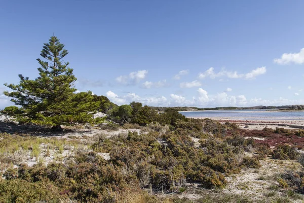 Festői kilátás nyílik az egyik a strandok Rottnest island, ausztrál — Stock Fotó