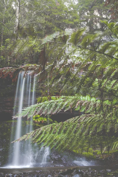罗素瀑布，山场国家公园，塔斯马尼亚州澳大利亚 — 图库照片