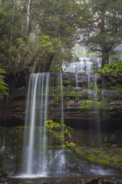 Russell Falls, Parque Nacional Monte Field, Tasmania, Australia — Foto de Stock
