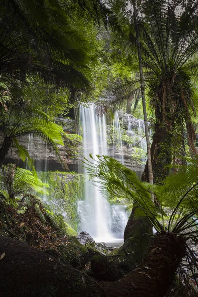 Russell Falls, Parque Nacional Monte Field, Tasmania, Australia —  Fotos de Stock