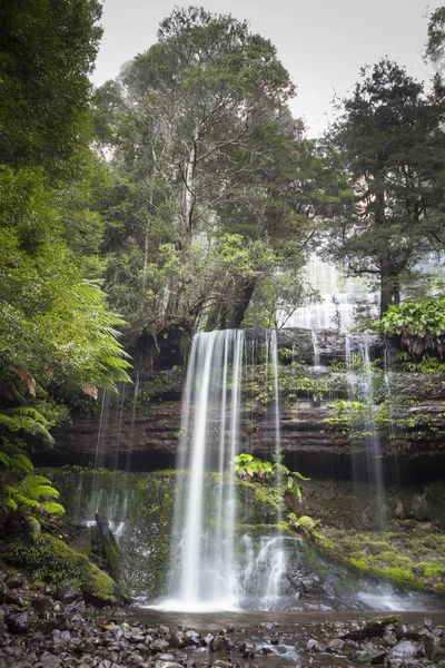 Russell Falls, Parque Nacional Monte Field, Tasmania, Australia — Foto de Stock