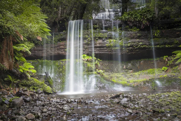 Russell falls, mount veld nationaal park, Tasmanië, Australië — Stockfoto