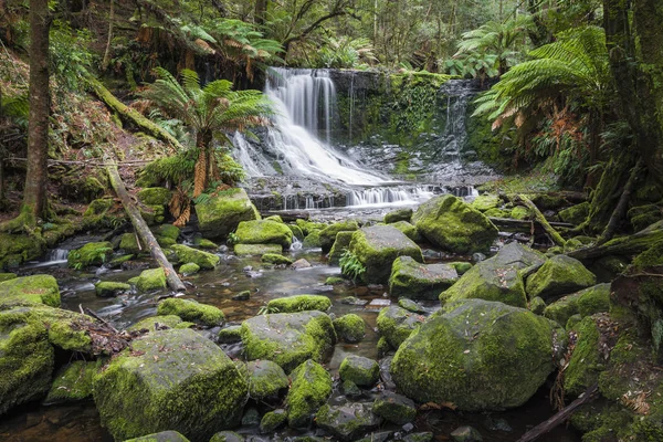 Russell Falls, Parque Nacional Monte Field, Tasmania, Australia — Foto de Stock