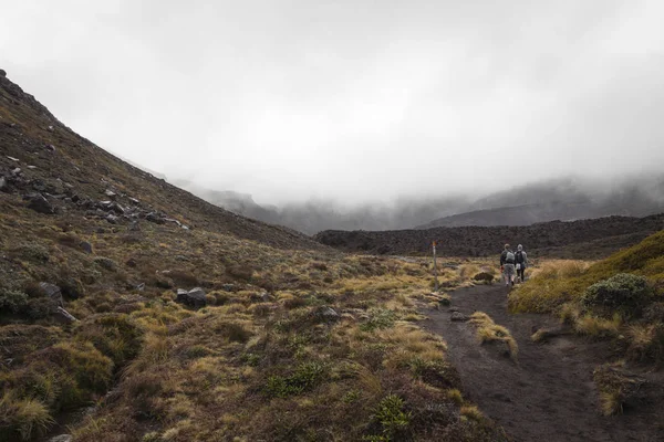 Ngauruhoe volcano (2291mt), Tongariro national park, North islan — Stock Photo, Image