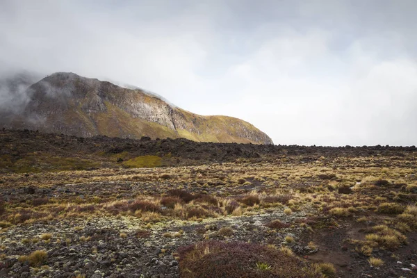 Ngauruhoe volcano (2291mt), Tongariro national park, North islan — Stock Photo, Image