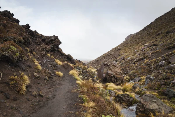 Ngauruhoe volcano (2291mt), Tongariro national park, North islan — Stock Photo, Image