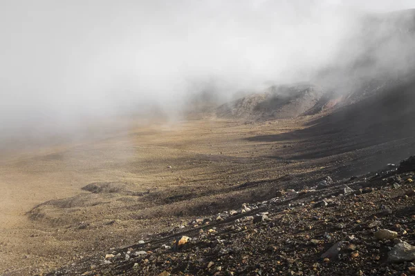 北 islan 汤加里罗国家公园，北岛火山 (2291mt) — 图库照片