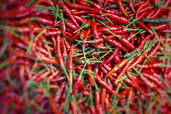 Red chili peppers, closeup view — Stock Photo, Image