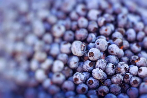 Fresh Bilberries. Close-up background. — Stock Photo, Image