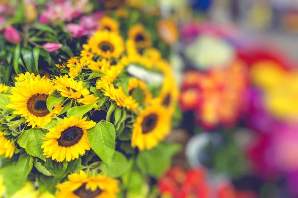 在拉脱维亚首都里加的花卉市场 — 图库照片