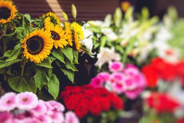 Mercado de flores en Riga, Letonia —  Fotos de Stock