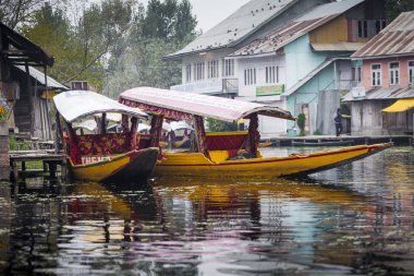 Srinagar, Hindistan - 17 Ekim 2013: Dal göl, loca yaşam tarzı