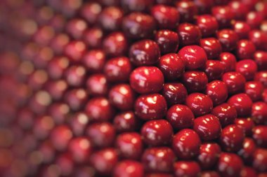 kutusunda bir çiftçi pazarda taze kiraz 