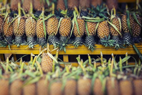 Frische Ananas auf dem lokalen Markt in kandy, sri lanka. Hintergrund. — Stockfoto