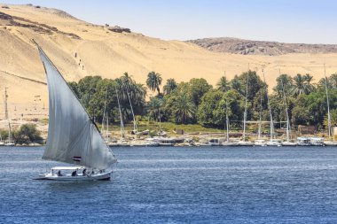 Nil Aswa Sahara ile Felucca (nehir tekne)