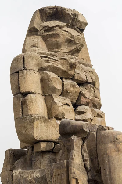 Kolosy Memnona Luksor, Egipt. — Zdjęcie stockowe