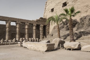 Karnak Tapınağı Luxor antik kalıntıları. Mısır