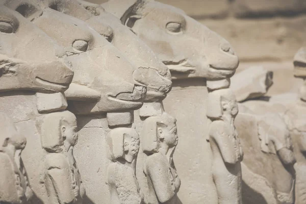 Antiguas ruinas del templo de Karnak en Luxor. Egipto —  Fotos de Stock