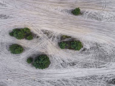 Göl ve orman bahar süre boyunca. Yukarıdan görüntüleyin. Dabrowa Gorn