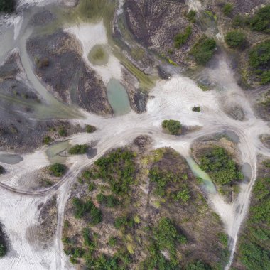 Göl ve orman bahar süre boyunca. Yukarıdan görüntüleyin. Dabrowa Gorn