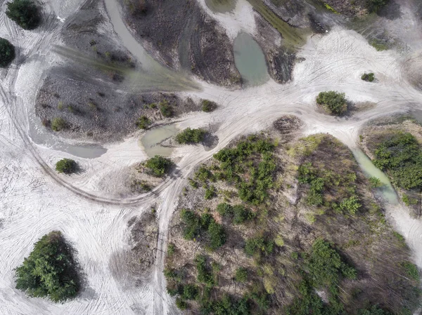 Göl ve orman bahar süre boyunca. Yukarıdan görüntüleyin. Dabrowa Gorn