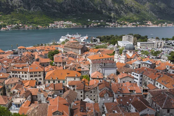 Kotor, Černá Hora. Bay of Kotor bay je jedním z nejkrásnějších — Stock fotografie