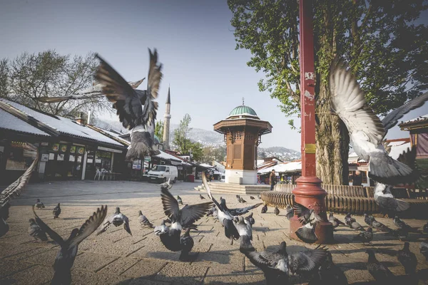 Plaza Bascarsija con fuente de madera Sebilj en el casco antiguo de Saraje —  Fotos de Stock