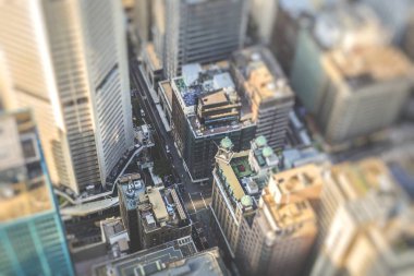 Sydney Avustralya'da Sydney Tower havadan görünümü