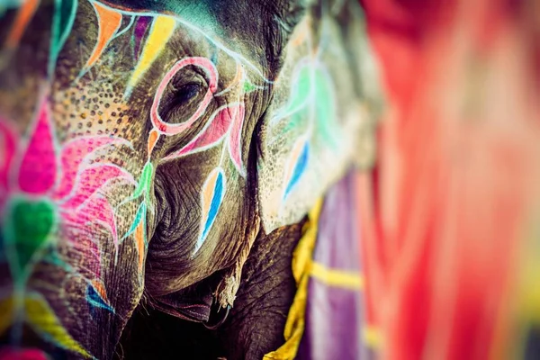 Gajah. India, Jaipur, negara bagian Rajasthan. — Stok Foto