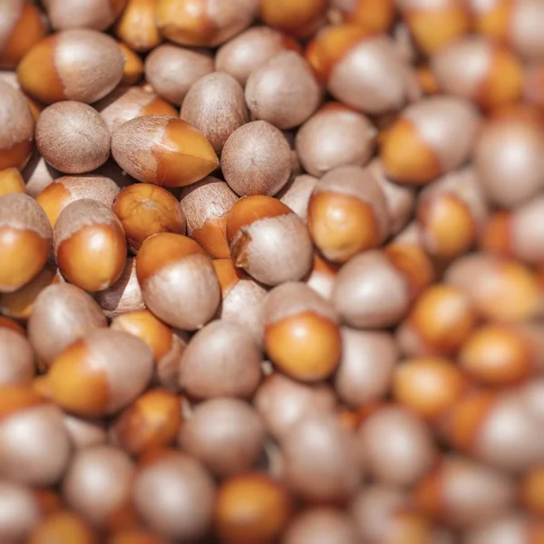 Loose hazelnuts on the market — Stock Photo, Image