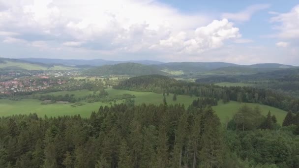 Vista aérea da hora de verão nas montanhas na fronteira com a Polónia e República Checa. Floresta de pinheiro e nuvens sobre o céu azul. Vista de cima . — Vídeo de Stock