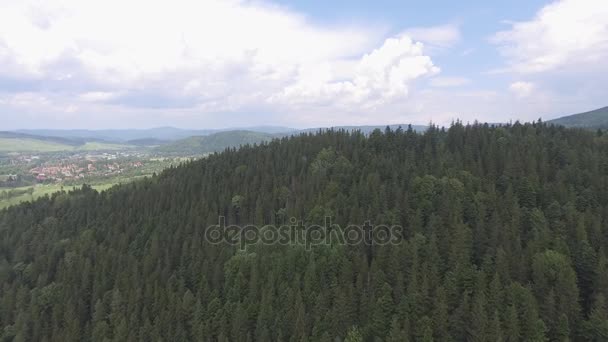Vista aérea de la hora de verano en las montañas en la frontera con Polonia y la República Checa. Bosque de pinos y nubes sobre el cielo azul. Vista desde arriba . — Vídeos de Stock
