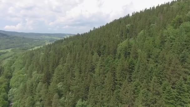 Vue aérienne de l'été dans les montagnes.Pologne. Forêt de pins et nuages sur ciel bleu. Vue d'en haut .