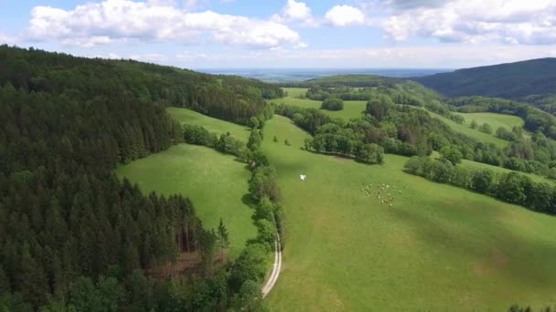 Vista aérea del verano en las montañas.Polonia. Bosque de pinos y nubes sobre el cielo azul. Vista desde arriba . — Vídeos de Stock