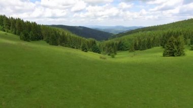 Yaz aylarında hava görünümünü dağlarda. Polonya. Çam ağacı orman ve bulutlar üzerinde mavi gökyüzü. Yukarıdan görüntülemek.