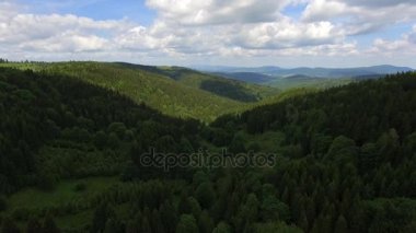 Yaz aylarında hava görünümünü dağlarda. Polonya. Çam ağacı orman ve bulutlar üzerinde mavi gökyüzü. Yukarıdan görüntülemek.