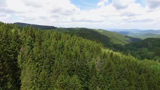 Légifelvételek a nyáron a hegyekben. Lengyelország. Fenyő erdő és a felhők felett kék égen. Nézd meg felülről. — Stock videók