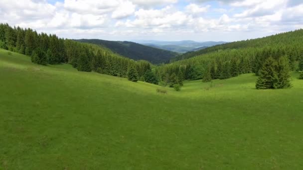 Vista aérea da hora de verão nas montanhas.Polônia. Floresta de pinheiro e nuvens sobre o céu azul. Vista de cima . — Vídeo de Stock
