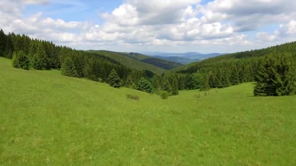 Vue aérienne de l'été dans les montagnes.Pologne. Forêt de pins et nuages sur ciel bleu. Vue d'en haut .