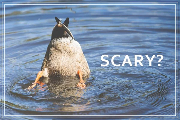 Word Scary. Duck diving in lake. — Stock Photo, Image
