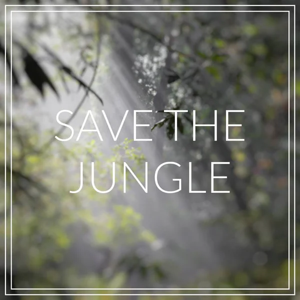 Save the Jungle. Sunlight rays pour through leaves in a rainfore — Stock Photo, Image