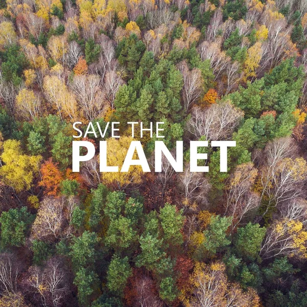 Save The Planet. Luchtfoto van het bos met verschillende kleuren — Stockfoto