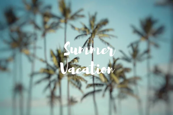 Sommar semester. Coconut palm i Hawaii, Usa. — Stockfoto