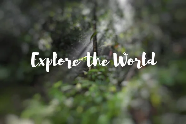 Εξερευνήστε τον κόσμο. Οι ακτίνες του ήλιου χύσει μέσα από τα φύλλα σε ένα rainfo — Φωτογραφία Αρχείου