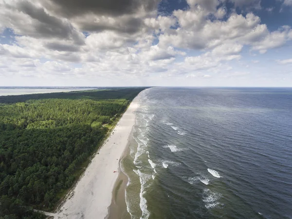 Anteny Zobacz brzegu Morza Bałtyckiego i Las w pobliżu Krynica Morska — Zdjęcie stockowe