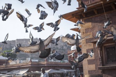 Hint şehir Jodhur, Hindistan sokak.